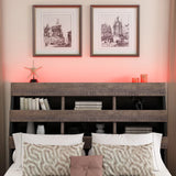 3 Pieces Bedroom Sets Mid Century Modern Style Queen Bed Frame with Bookshelf and LED Lights and USB