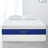 Molblly 12 inch Cooling-Gel Memory Foam Mattress Bed - Francoshouseholditems