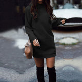 O-neck Long Sleeve Spring Winter Dress  Slim Fit Ladies Knitted Fashion Vestidos - Francoshouseholditems